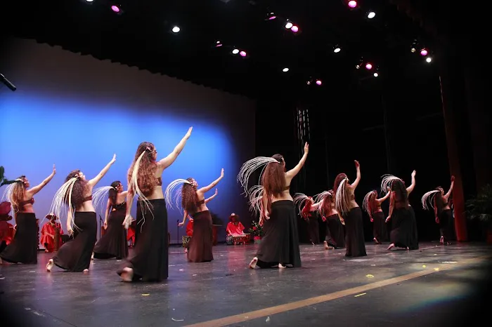 Puahi's Polynesian Dance School Picture 4