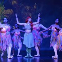 Starlight Dance Center ico