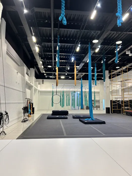 The Aerial Studio Picture 5