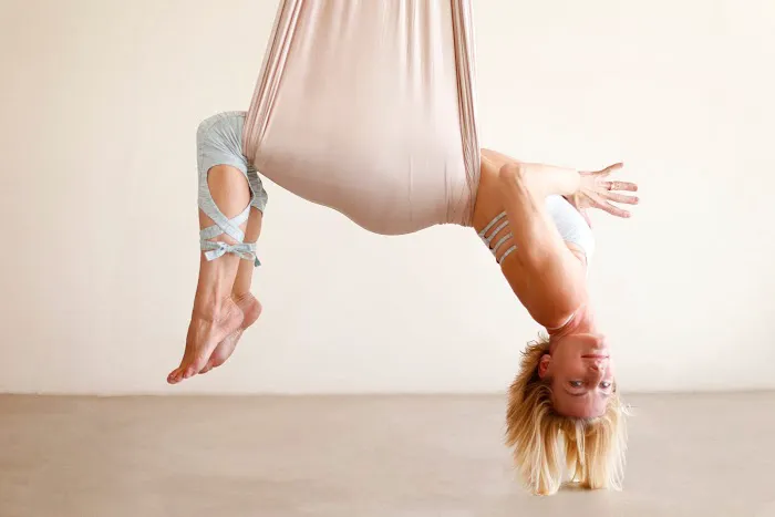 The Aerial Studio Picture 9