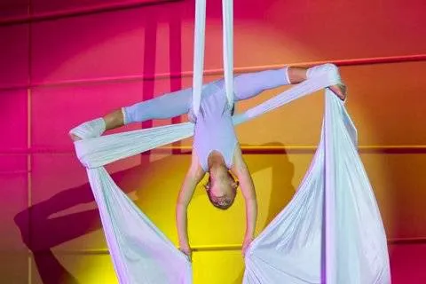 The Aerial Studio Picture 8