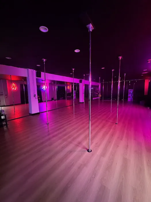 Rock N Pole Studio (Ventura) Picture 3