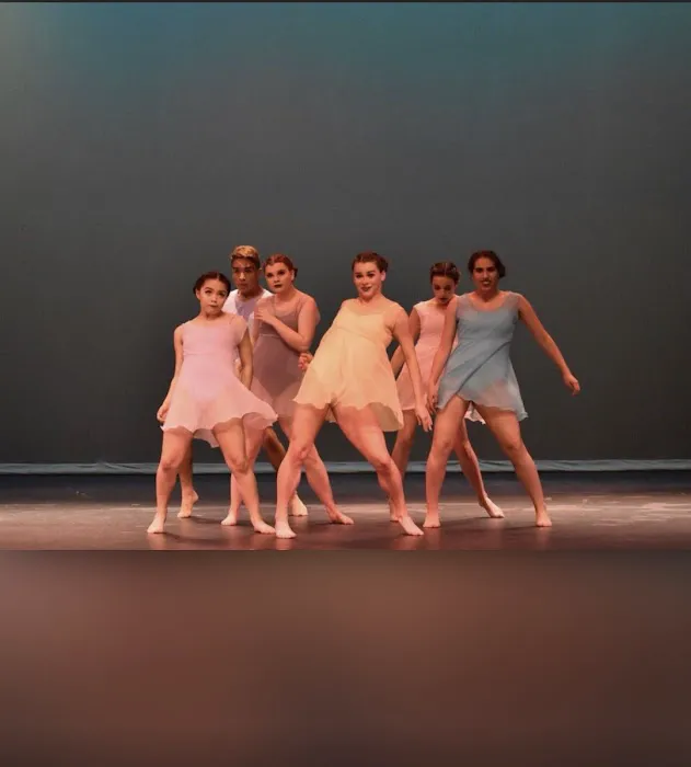 AV Dance Studio 81 Picture 3