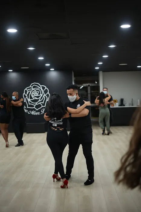 Fusion Movement Dance Company Picture 4
