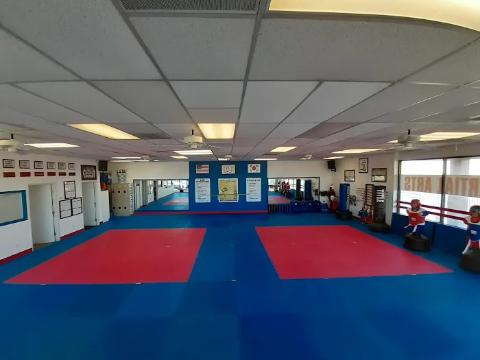 J TAEKWONDO ACADEMY Picture 3