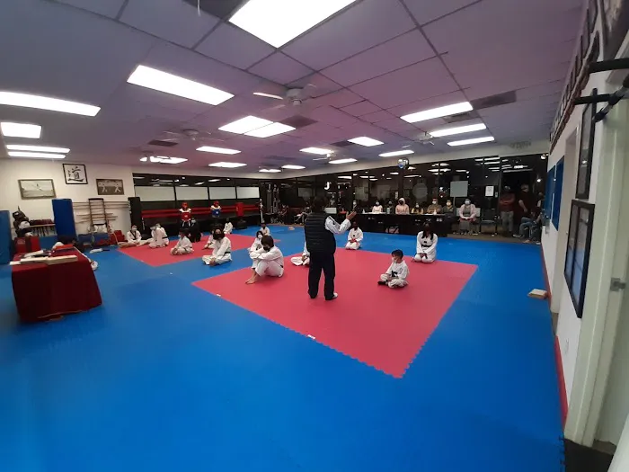 J TAEKWONDO ACADEMY Picture 8