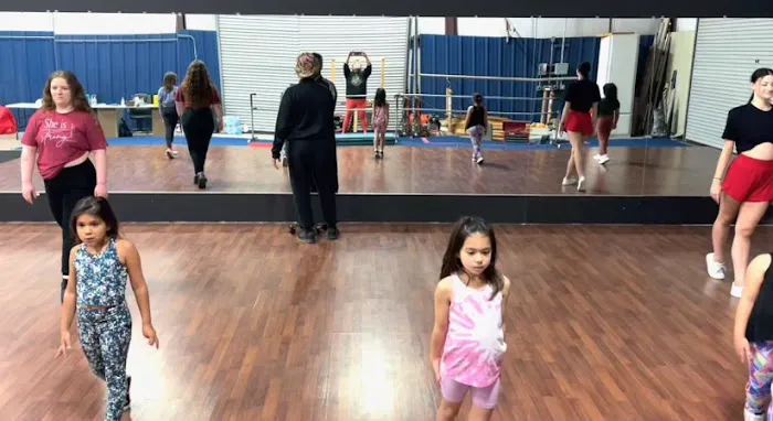 Bakersfield Gymnastics Academy Picture 2
