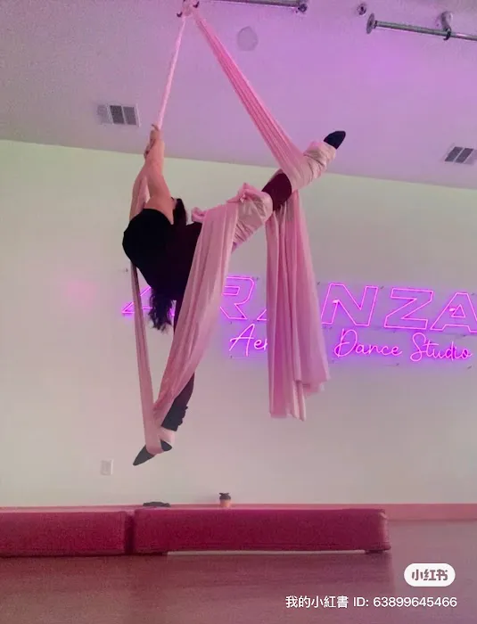 Aranza’s Aerial & Dance Studio Picture 4