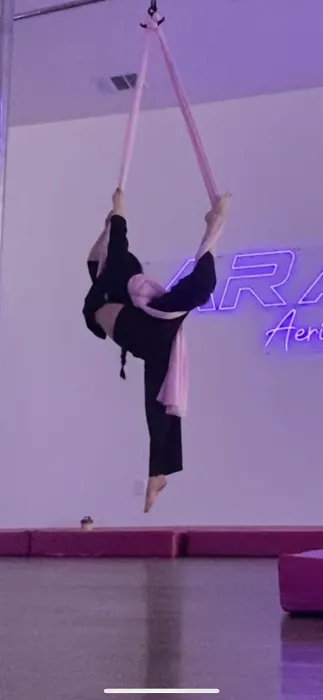 Aranza’s Aerial & Dance Studio Picture 8