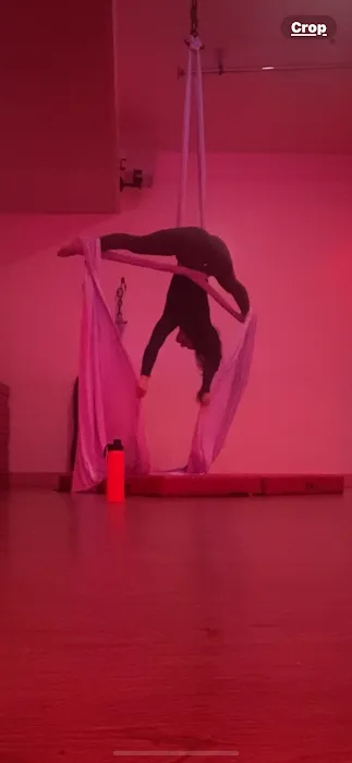 Aranza’s Aerial & Dance Studio Picture 9