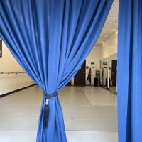 Carapace Dance and Arts Center LLC ico