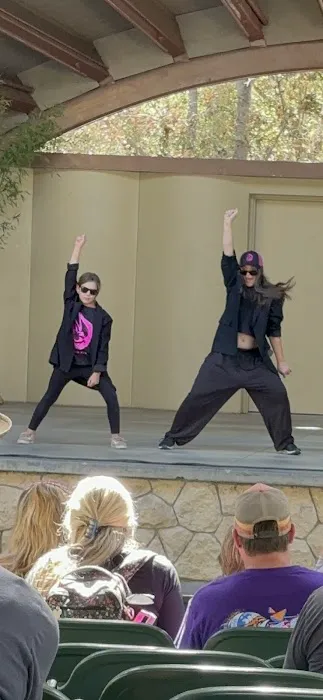 Carapace Dance and Arts Center LLC Picture 6