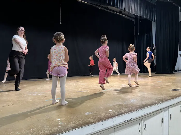 Carapace Dance and Arts Center LLC Picture 4