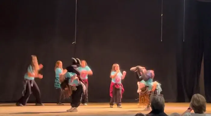 Carapace Dance and Arts Center LLC Picture 8