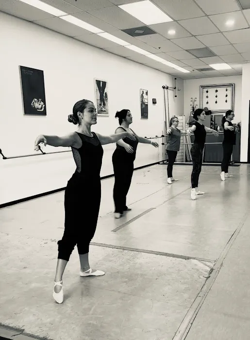 Carapace Dance and Arts Center LLC Picture 5