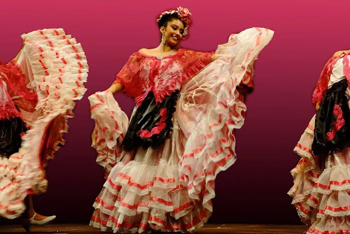 Viva Performing Arts Center Picture 6