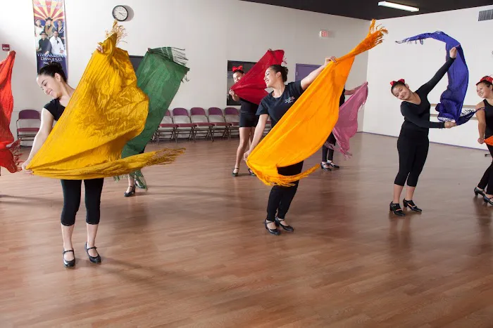 Viva Performing Arts Center Picture 4