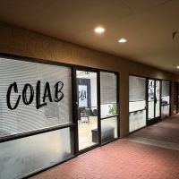 COlab Dance Arts ico