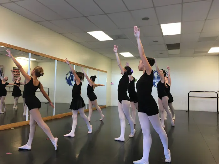 Music & Dance Academy Picture 4