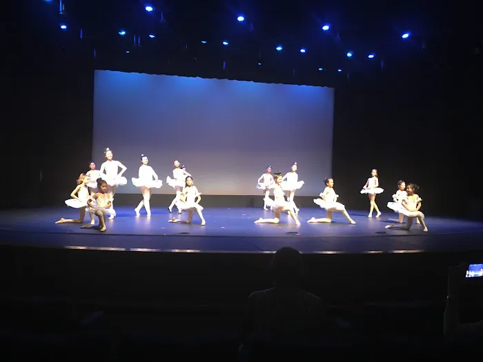 Music & Dance Academy Picture 9