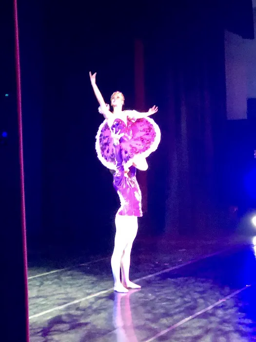 Gotta Dance! Picture 3