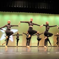 Desert Dance Collective Twin Peaks ico