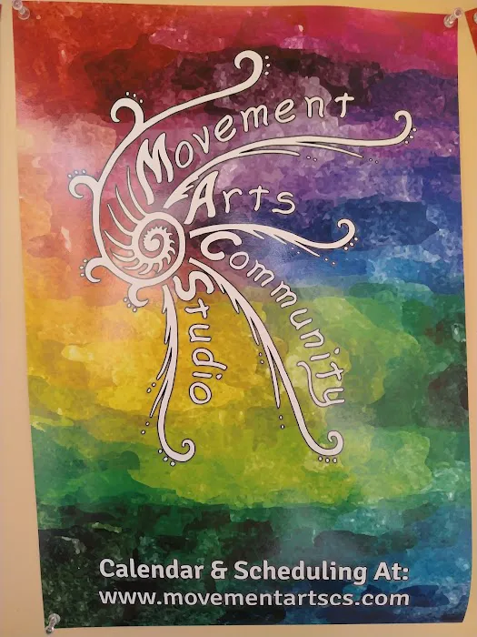 MACS - Movement Arts Community Studio Picture 2