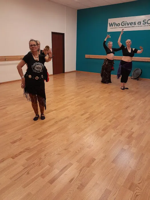 Bravo Belly Dance Picture 5