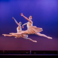 Turning Pointe Dance ico