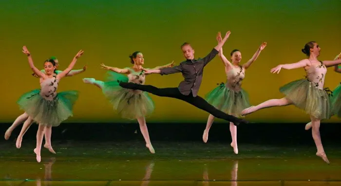Dance Unlimited Picture 3