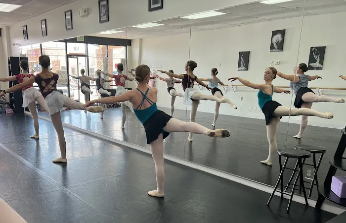 Concert Dance Conservatory Picture 3