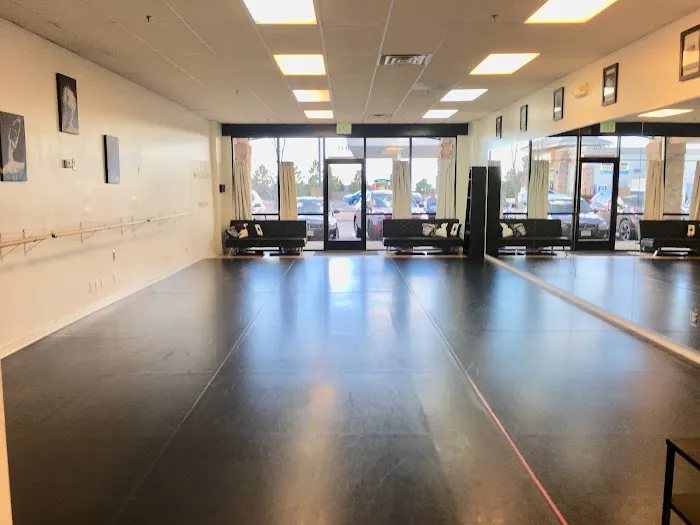 Concert Dance Conservatory Picture 4