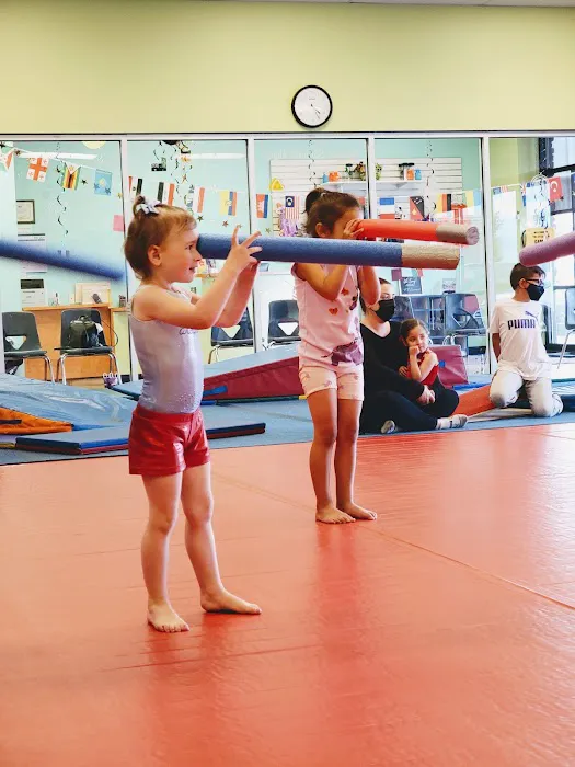 The Little Gym of Colorado Springs Picture 8