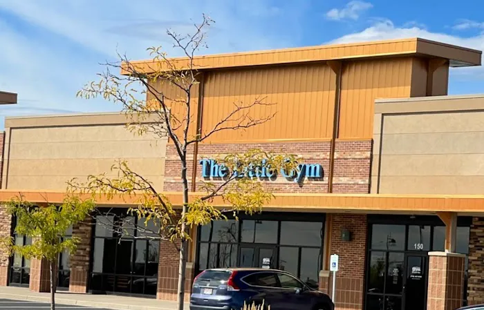 The Little Gym of Colorado Springs Picture 5