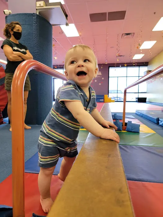 The Little Gym of Colorado Springs Picture 7