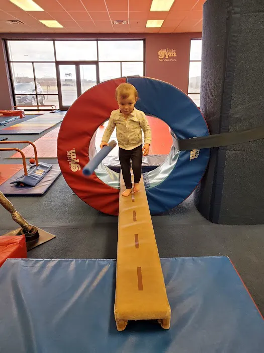The Little Gym of Colorado Springs Picture 4