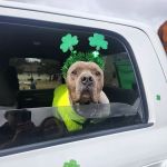 Mountain Eire