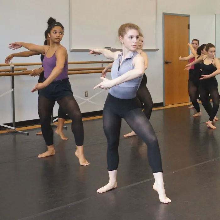 Texas Dance Conservatory Picture 6