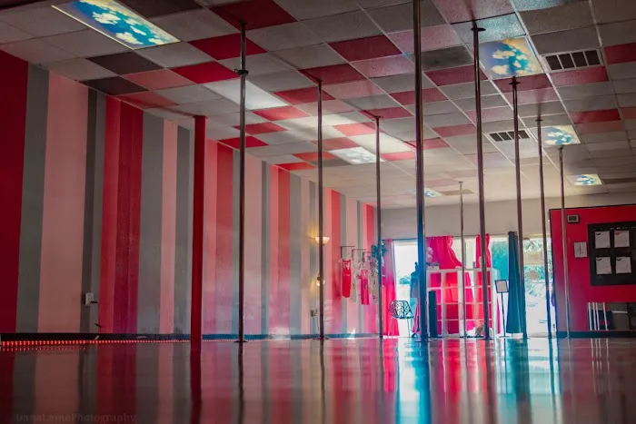 SkyPole Fitness Picture 2