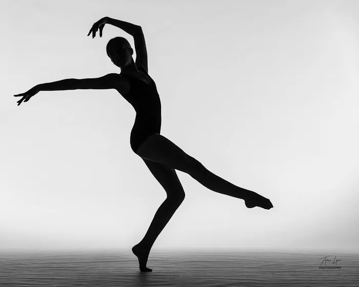 United Performing Arts Company Picture 2