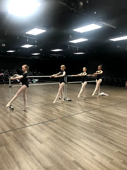 United Performing Arts Company Picture 4