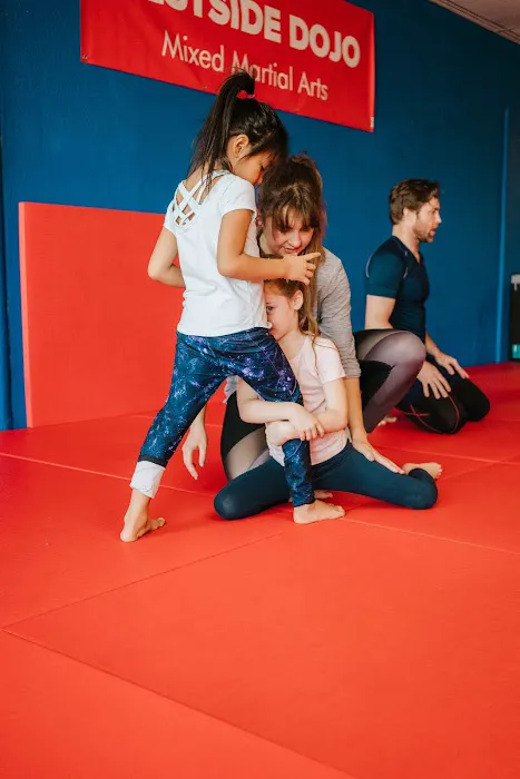 One Dojo | DFW's Homeschool Dojo Picture 7