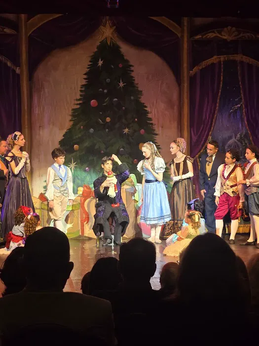 Ballet Frontier of Texas Picture 3