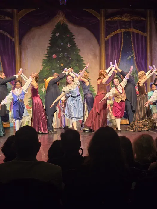 Ballet Frontier of Texas Picture 10