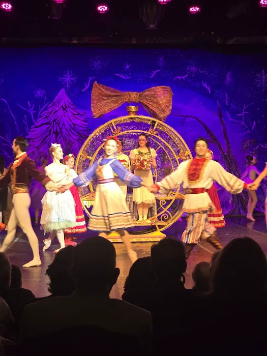 Ballet Frontier of Texas Picture 9