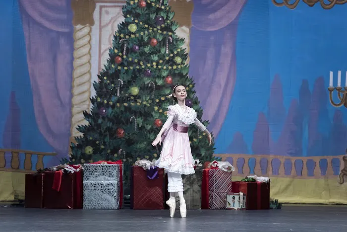 Art Ballet Academy Picture 4
