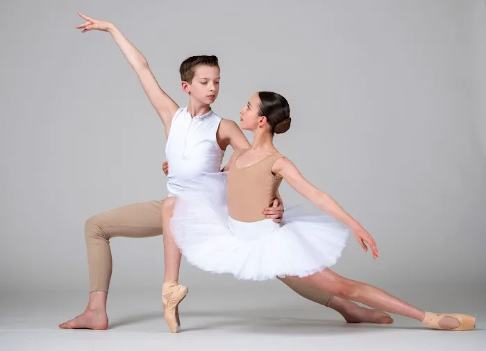 Art Ballet Academy Picture 8