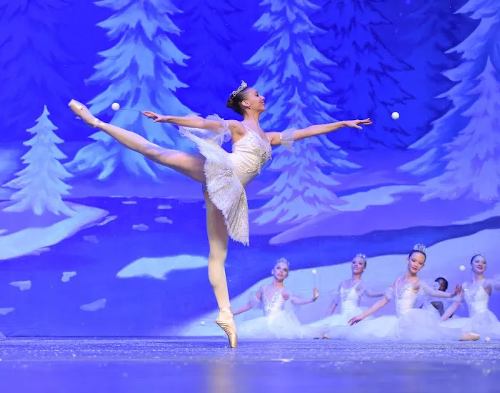 Art Ballet Academy Picture 9