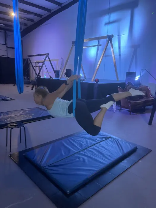 Inverted Dance Pole & Aerial Studio Picture 3