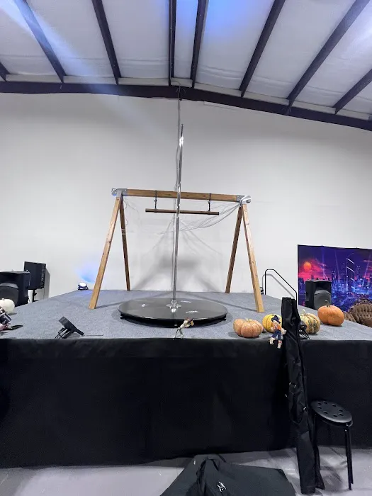 Inverted Dance Pole & Aerial Studio Picture 1